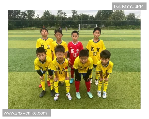 华夏幸福足球队员名单及其在赛季中的表现分析与展望